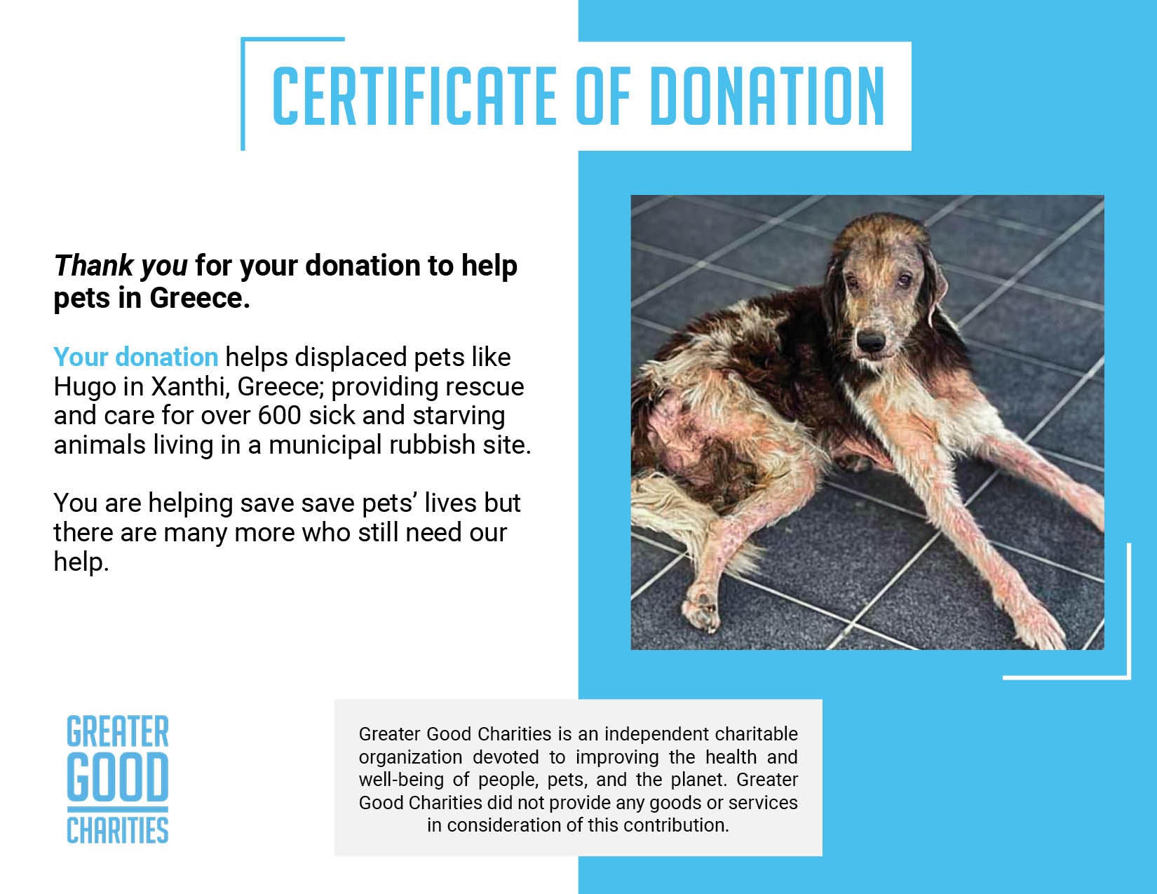 Funded: Heartworm-Positive Dog Found Starving At Dump Needs Us To Survive、mySite、camillekostekn