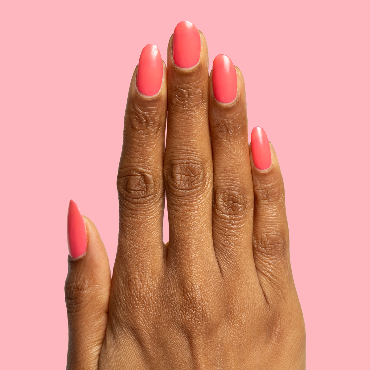 Flamingo、mySite、solidvoid