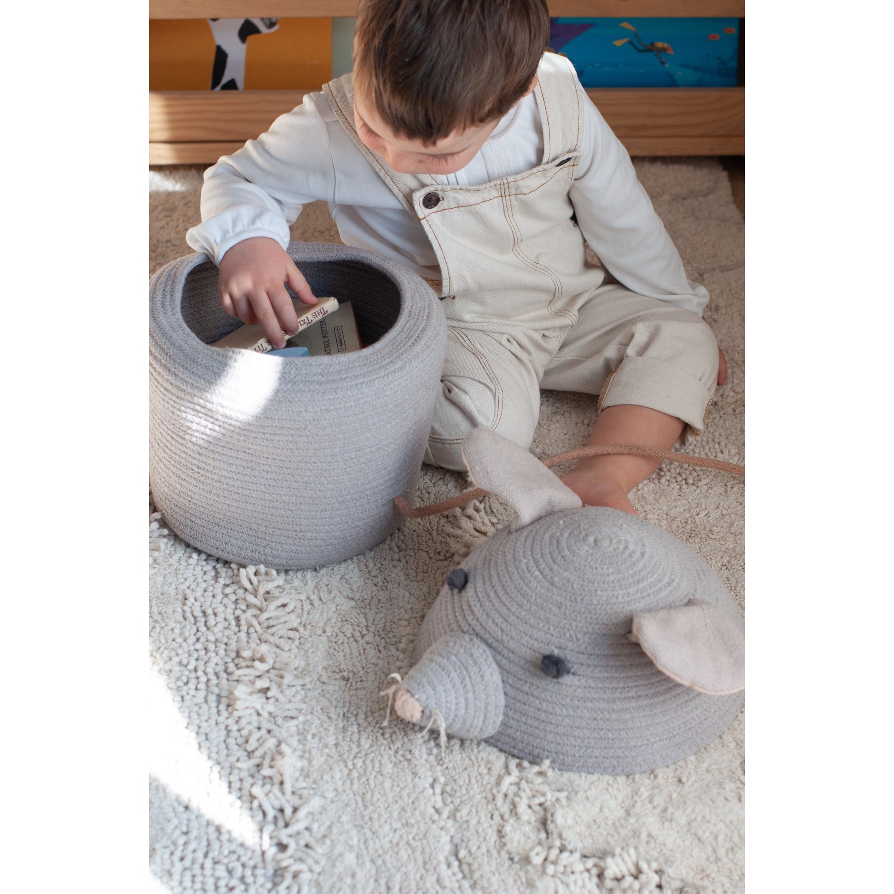 Renata the Rat Basket、mySite、gigharbornorthrealestate