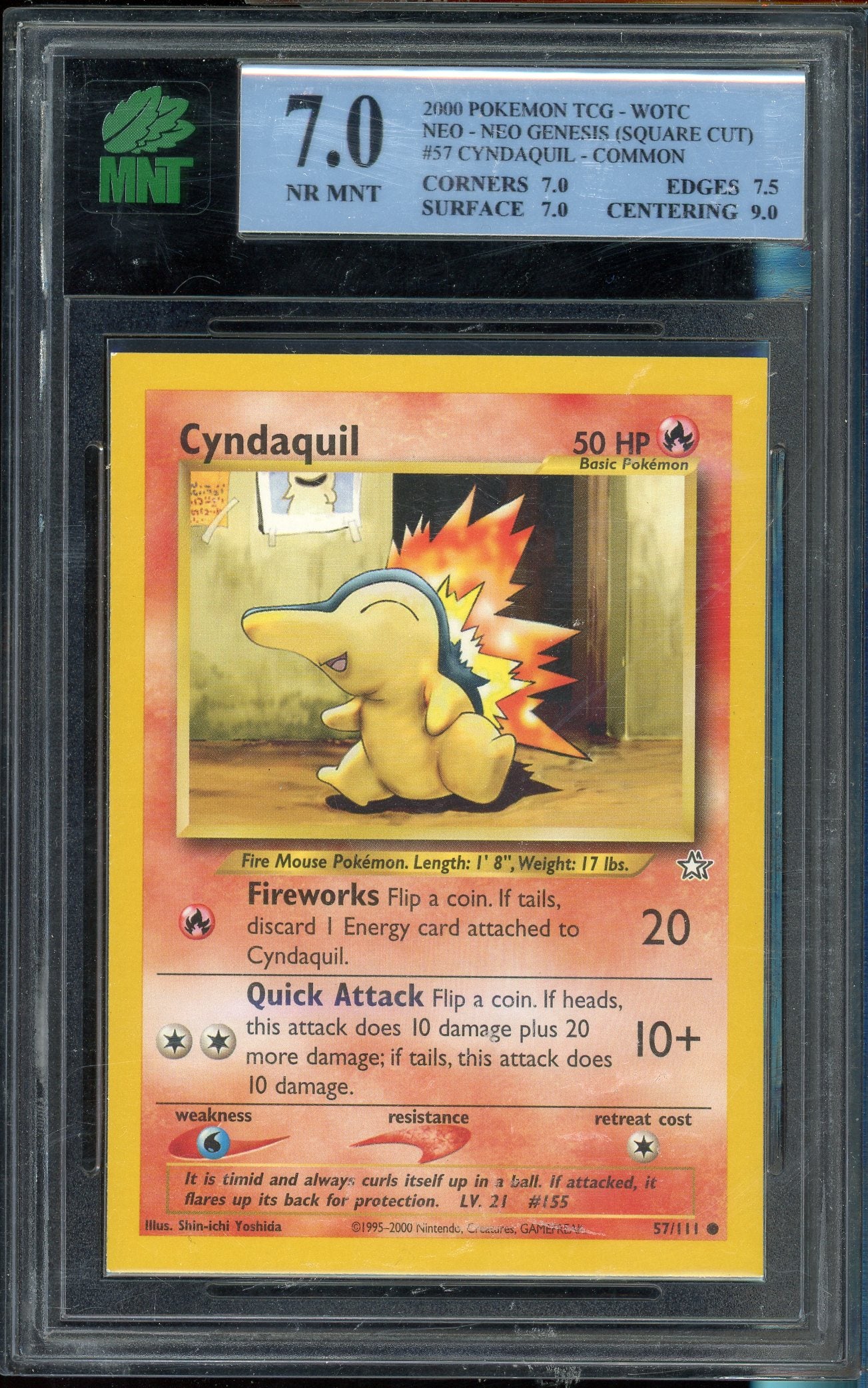 MNT 7 CYNDAQUIL - COMMON、mySite、waistdrama