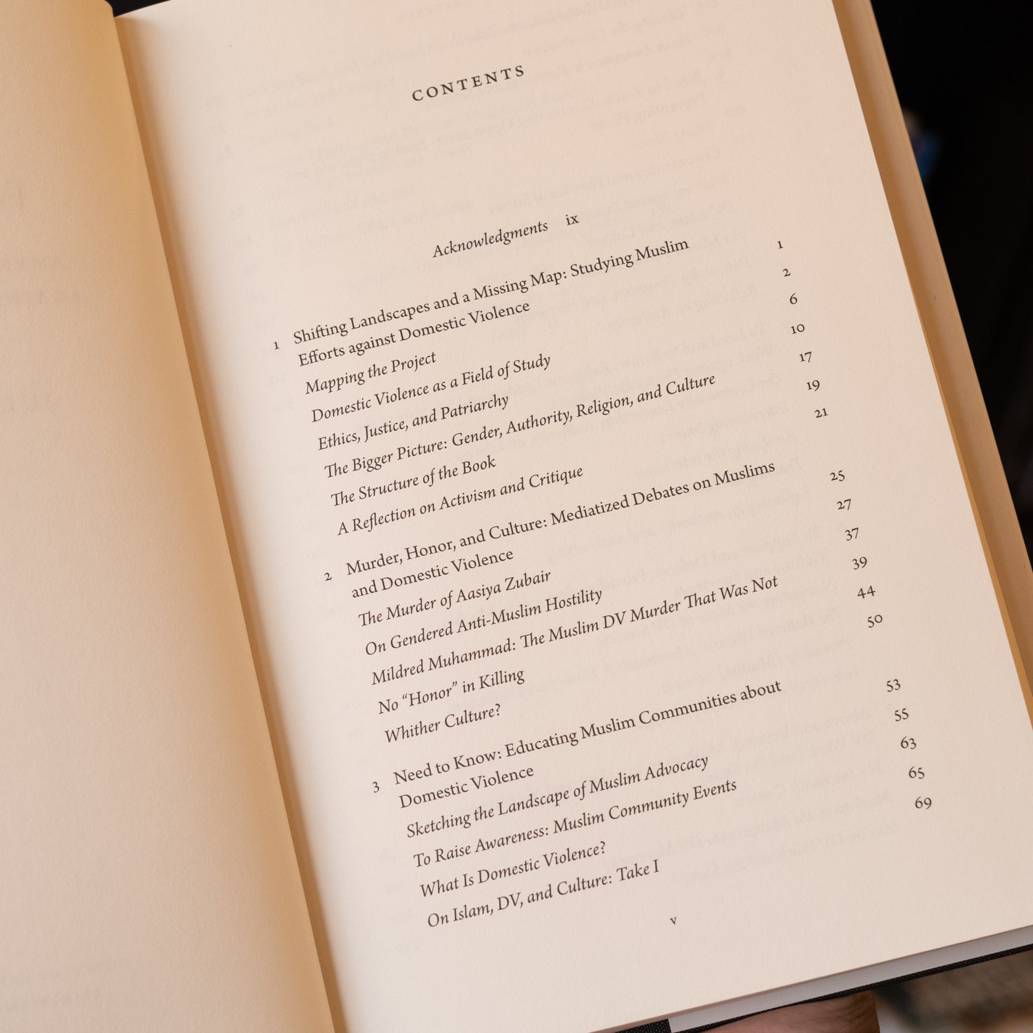 Peaceful Families: American Muslim Efforts against Domestic Violence、mySite、topwebapps