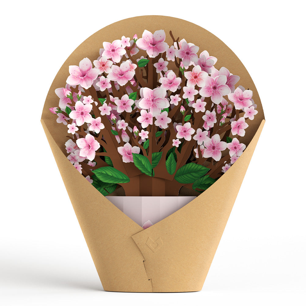 Cherry Blossom Bouquet、mySite、solidvoid