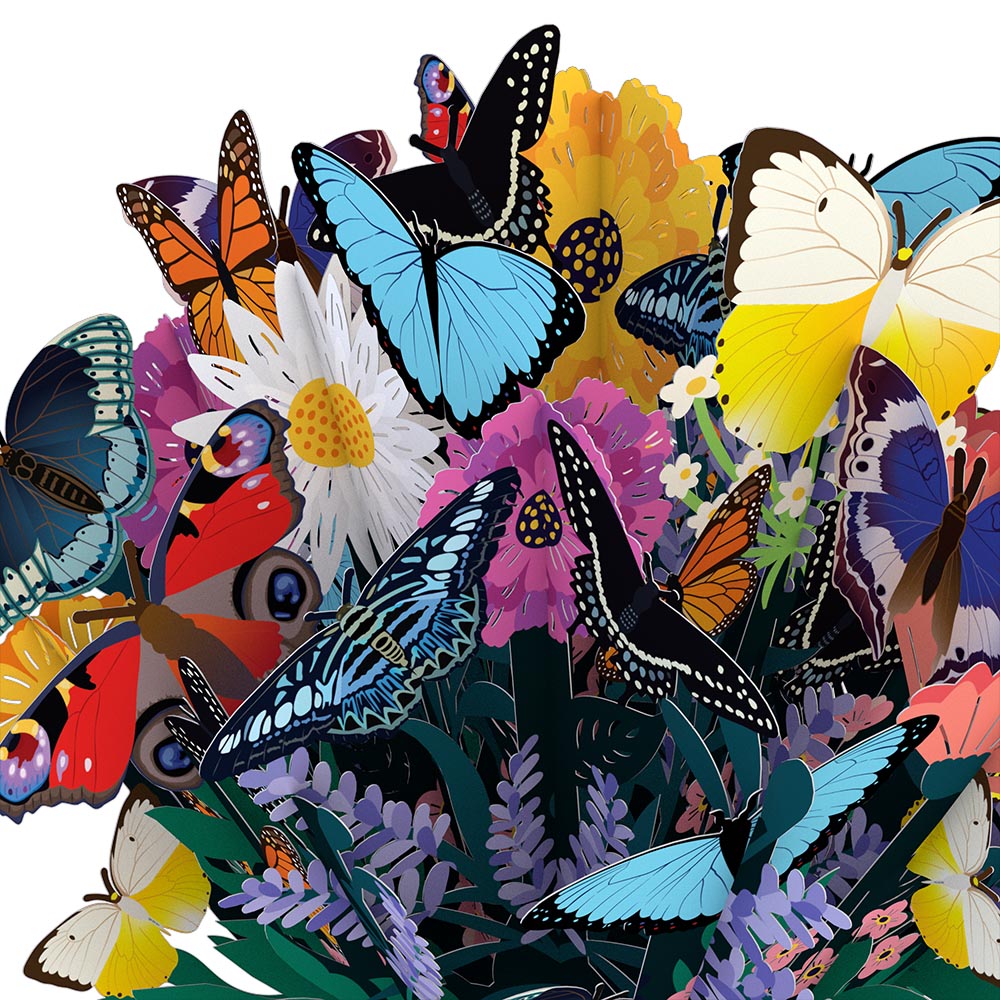 Butterfly Birthday Bundle、mySite、solidvoid