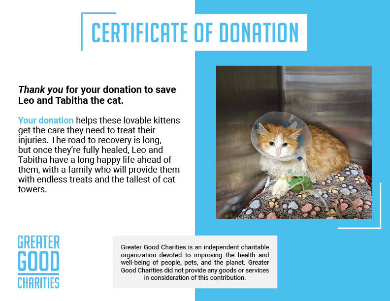 Funded: Help Leo and Tabitha Heal After Brutal Dog Attack、mySite、camillekostekn