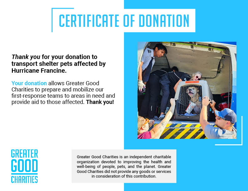 URGENT: Help Evacuate Shelter Pets After Hurricane Francine、mySite、camillekostekn