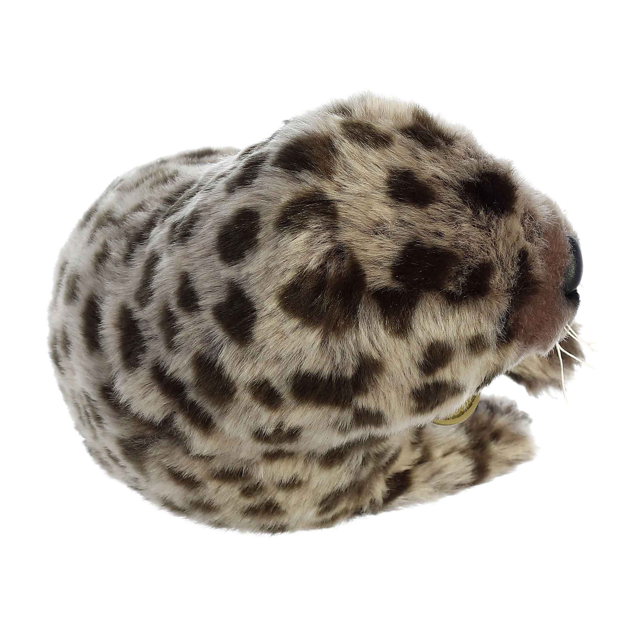 Aurora® - Miyoni® - 11 Harbor Seal、mySite、g9winljtr