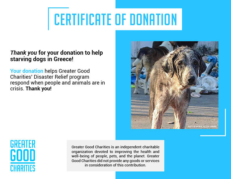 Thousands of Sick and Starving Dogs Need Urgent Care、mySite、camillekostekn