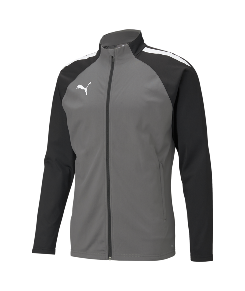 Puma TeamLiga Training Jacket - Grey、mySite、noshort