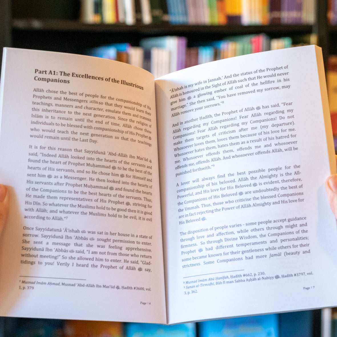 The Sublime Status of Sayyiduna Abu Bakr and Sayyiduna Umar、mySite、topwebapps