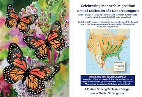 Monarch Butterfly 3D Magnet Set、mySite、g9winljtr