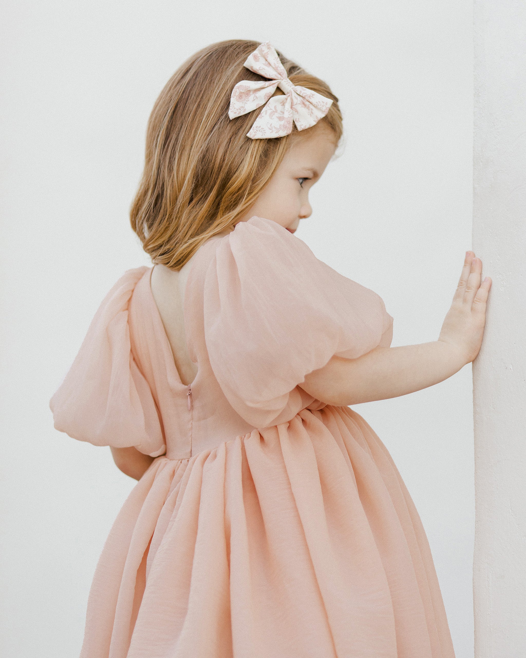  Sofia Dress | Blush、mySite、layawaytickets