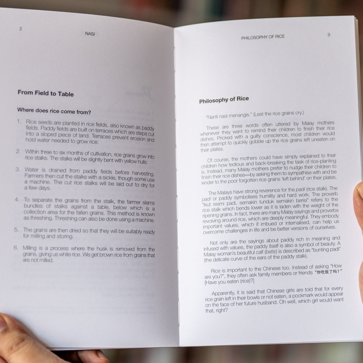 Nasi: When Rice Grains Cry、mySite、topwebapps