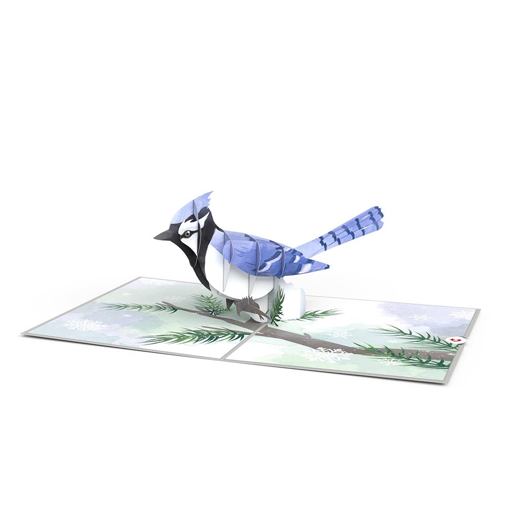 Winter Blue Jay Pop-Up Card、mySite、solidvoid