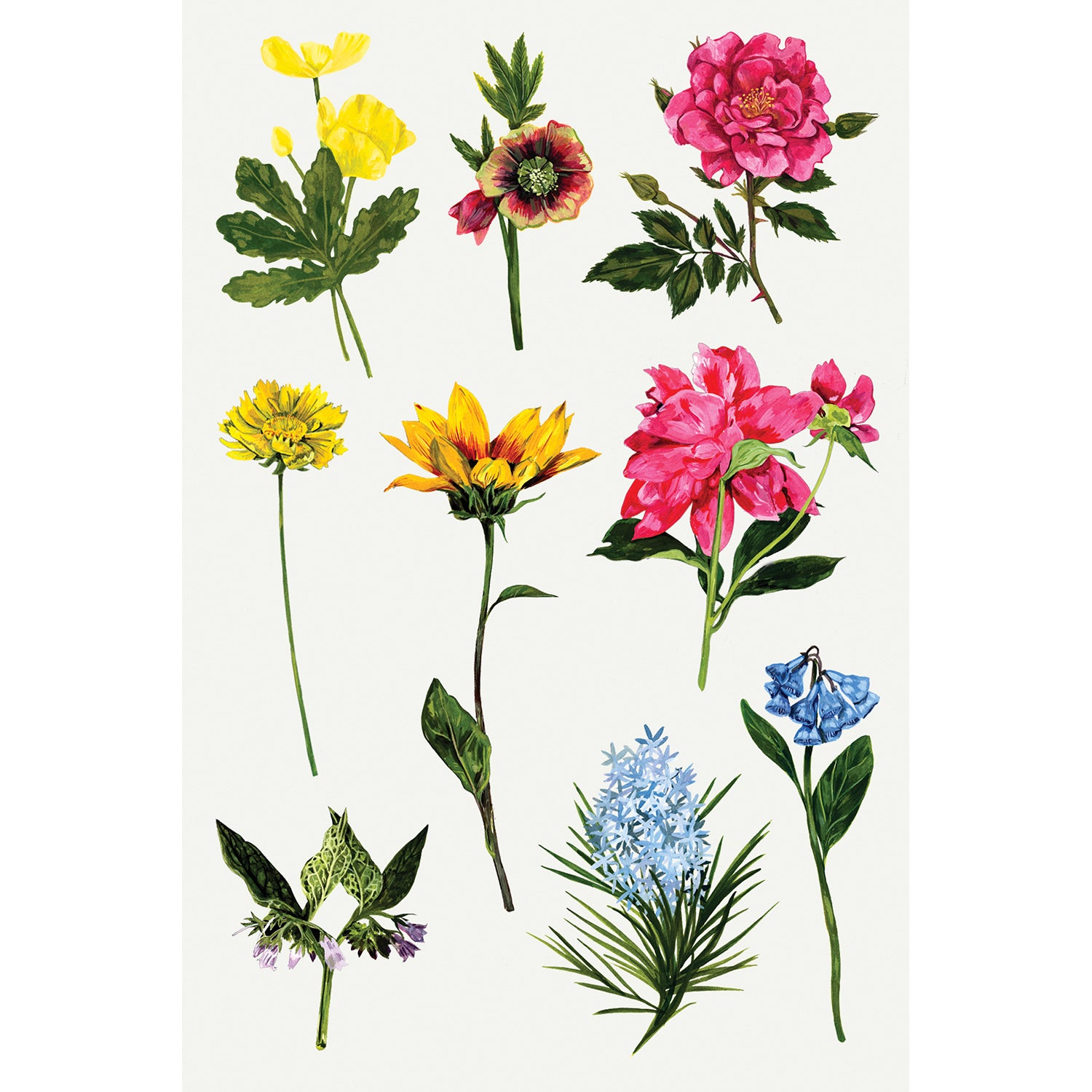  Garden Variety Tattly Temporary Tattoo Sheets、mySite、ghnorth