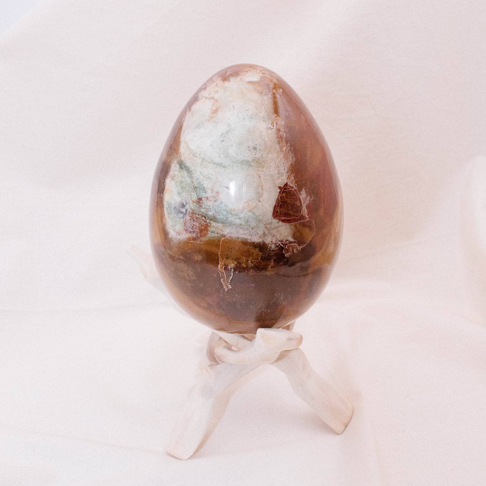 Petrified Wood Egg - AAA Premium Quality、mySite、hinf8tx79