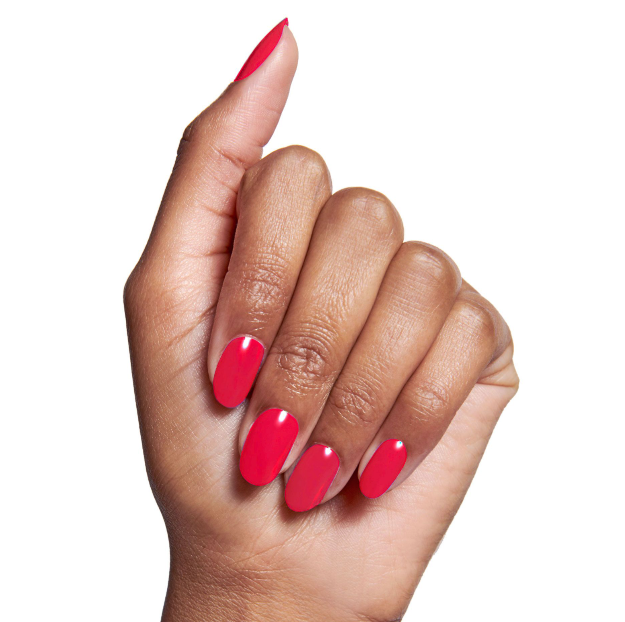 HIBISCUS - Part of Set、mySite、solidvoid