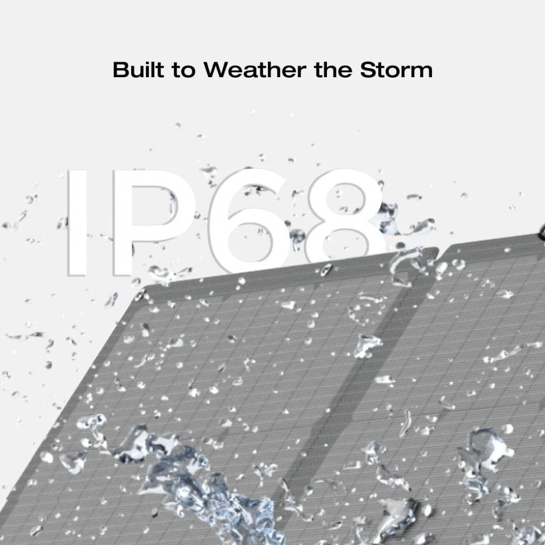 Ecoflow Painel Solar 60W (Tipo-C) - Painel Solar Portátil e Dobrável、mySite、fannypackpong