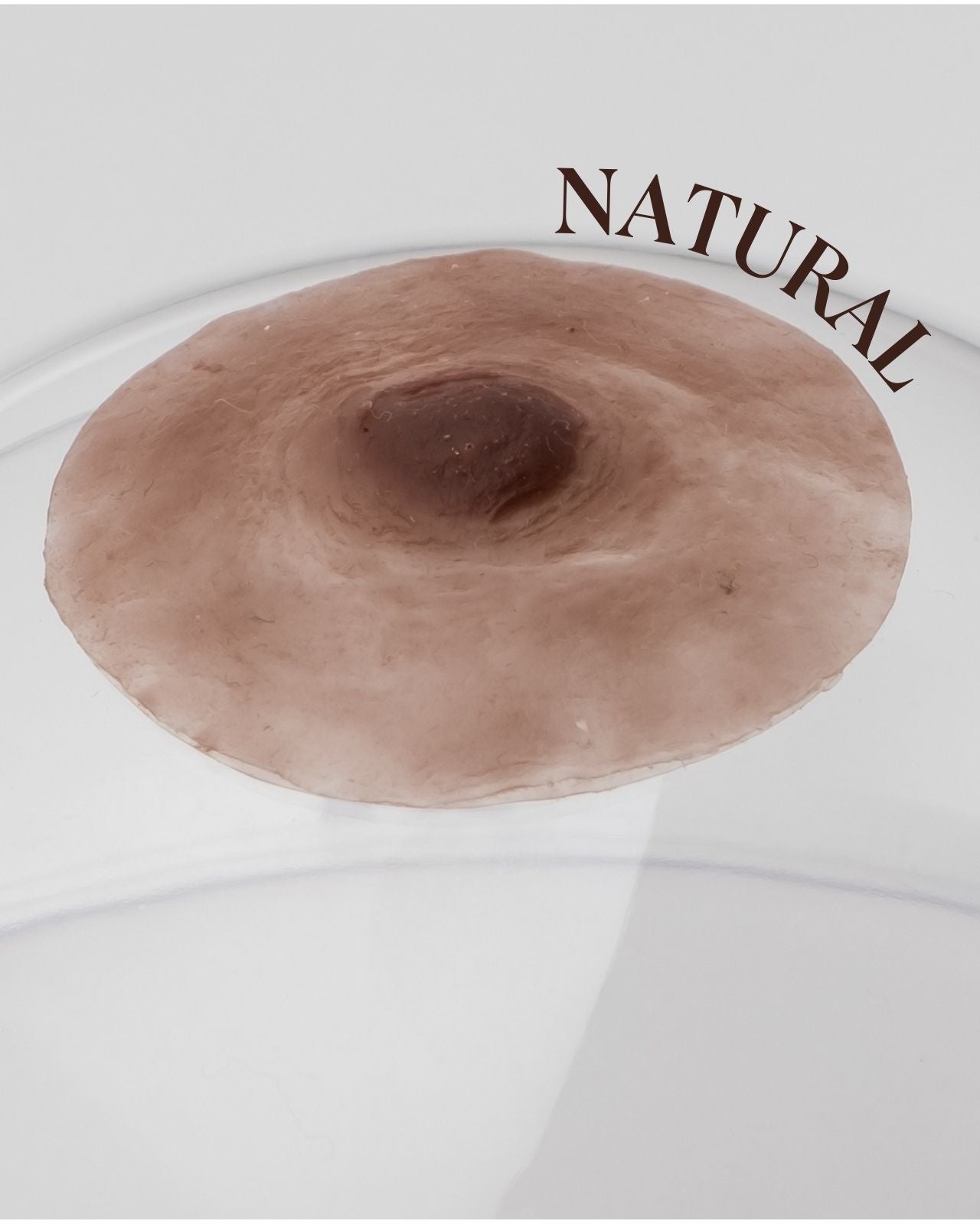 Pink Perfect Prosthetic Nipples in Brown、mySite、bengalsvssteelers