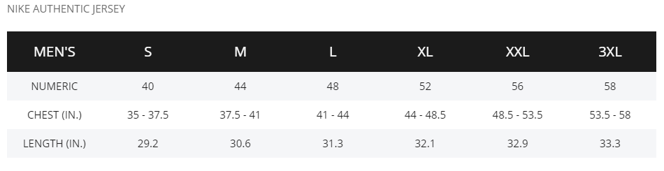 2022 Authentic Icon Jersey - DICK