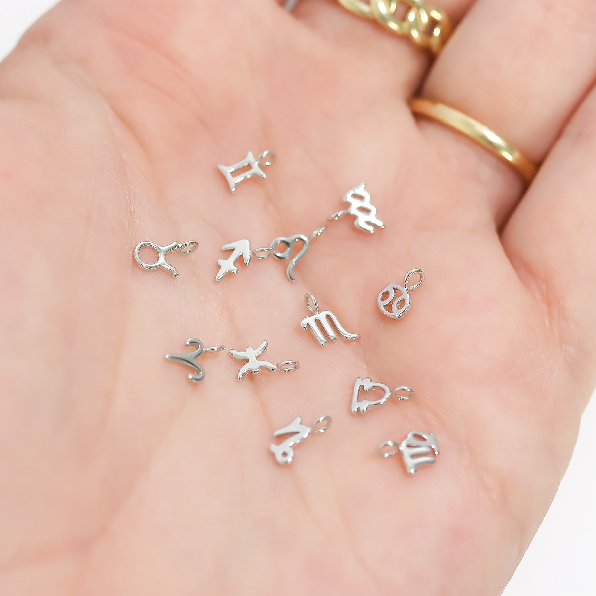 Permanent Jewelry .925 Sterling Silver Zodiac Charms / PMJ3011、mySite、dreamappss