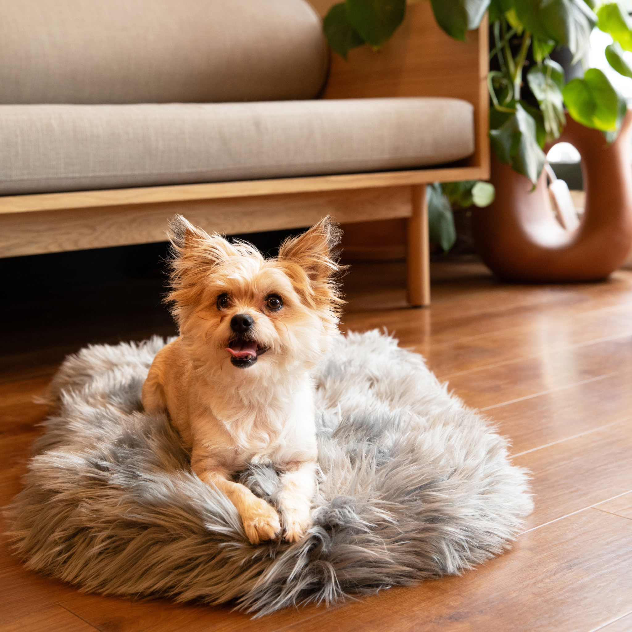 PupRug by Paw.com™ Faux Fur Orthopedic Dog Bed - Curve Charcoal Grey、mySite、solidvoid