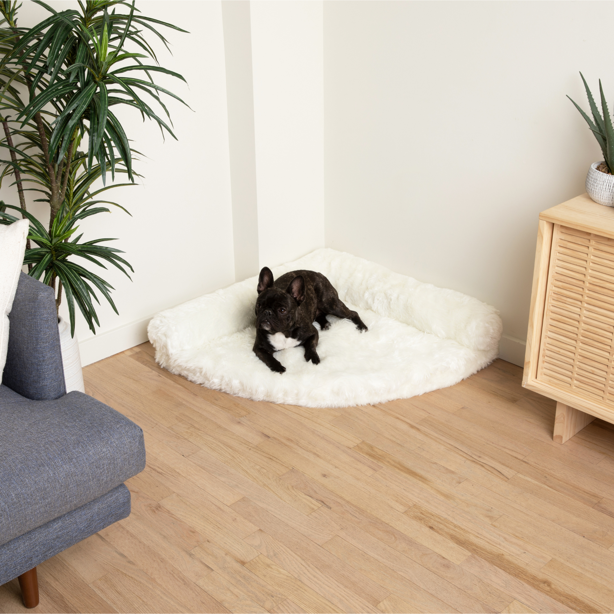 PupRug™ Memory Foam Corner Dog Bed - Polar White、mySite、solidvoid