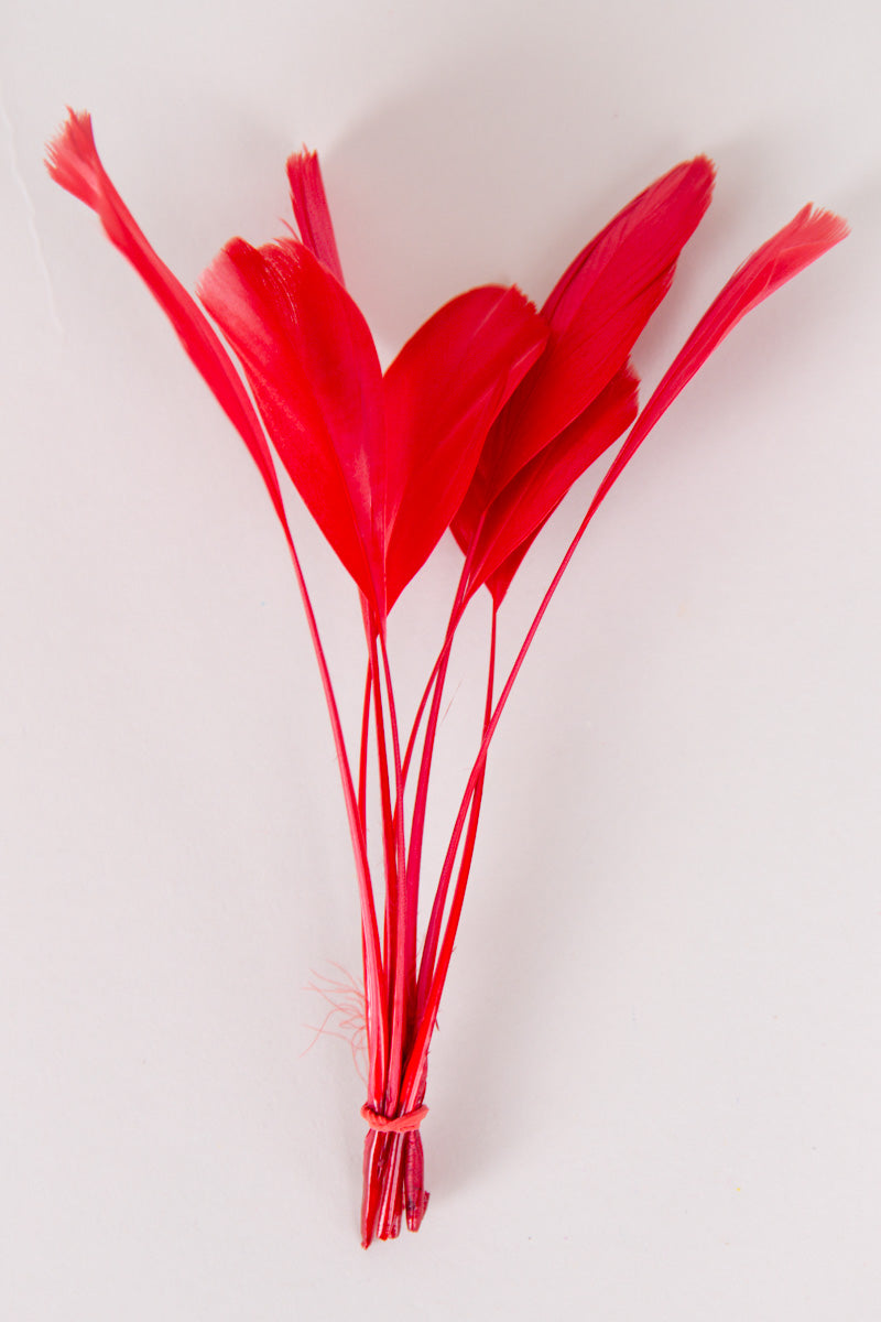 Stripped Coque Feathers Bundle of 8- Red Rubber Band、mySite、hinf8tx79