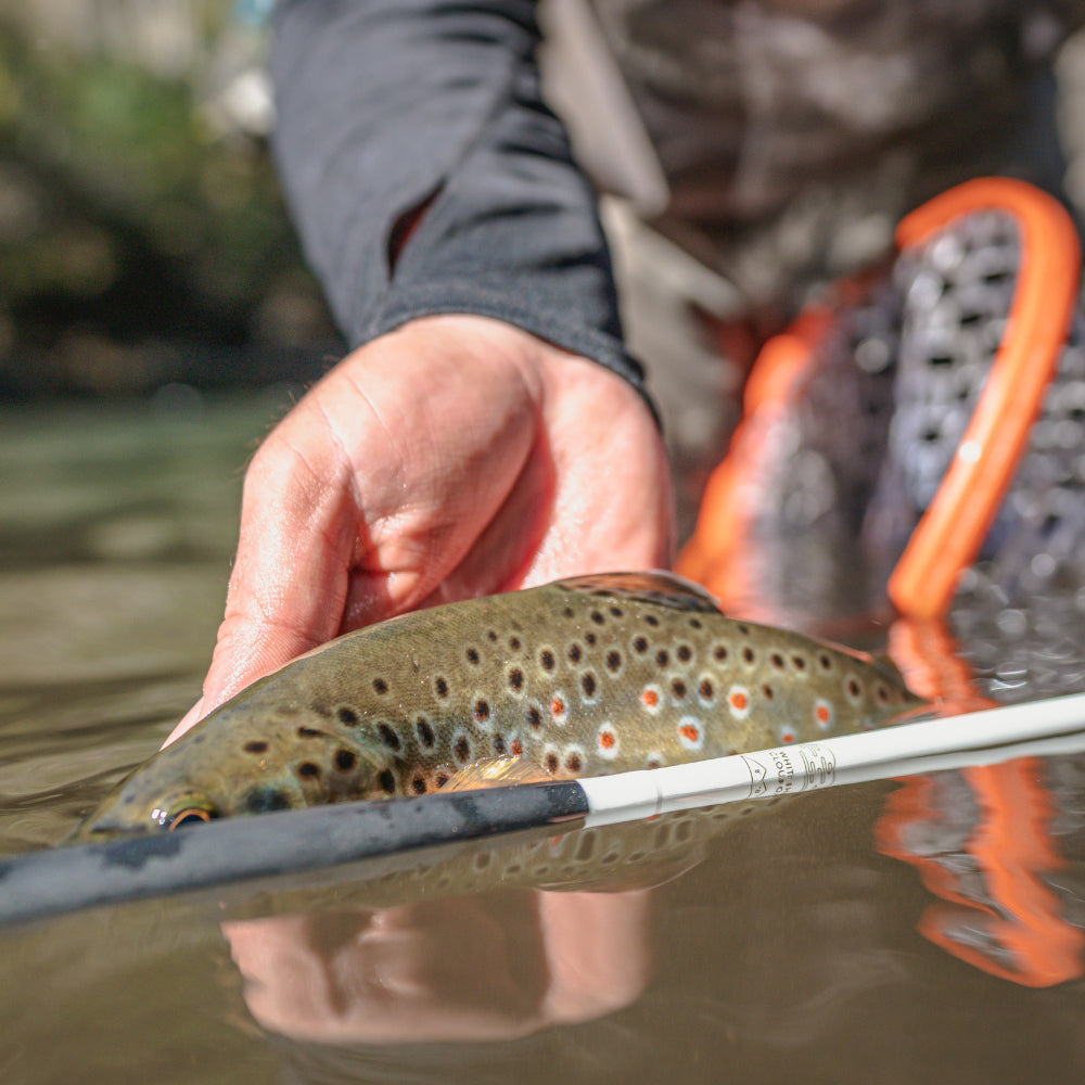 White Cloud、mySite、solidvoid