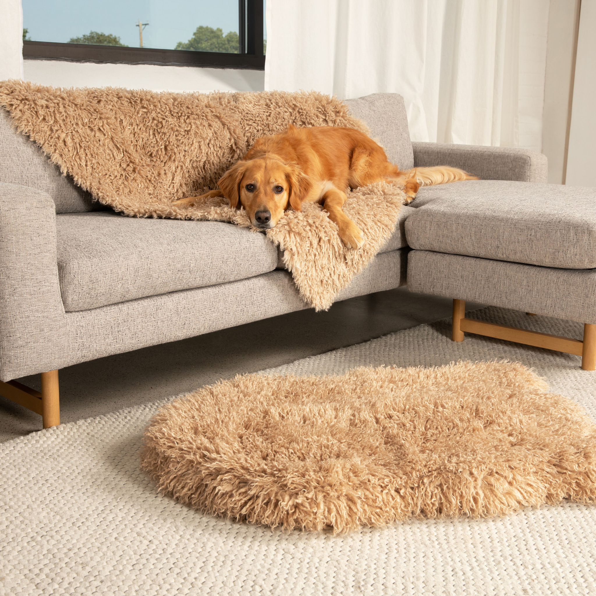 PupRug™ Luxe Orthopedic Bed + Matching Waterproof Blanket Bundle - Plush Sheep Tan、mySite、solidvoid