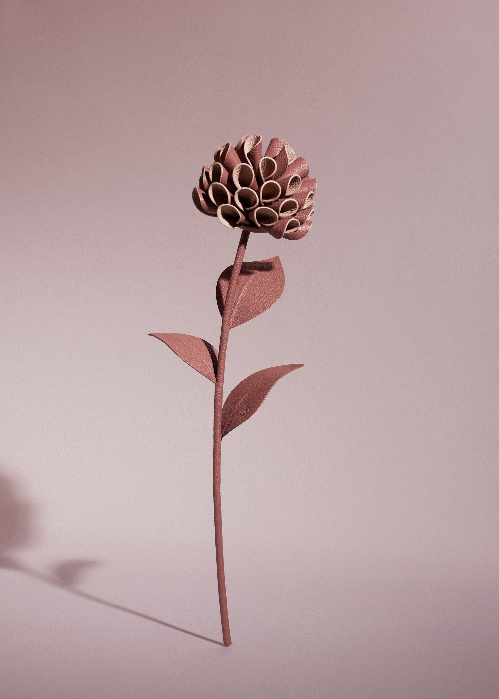 Fleur Dalium - Duo Blush Grain茅、mySite、camillekostekn