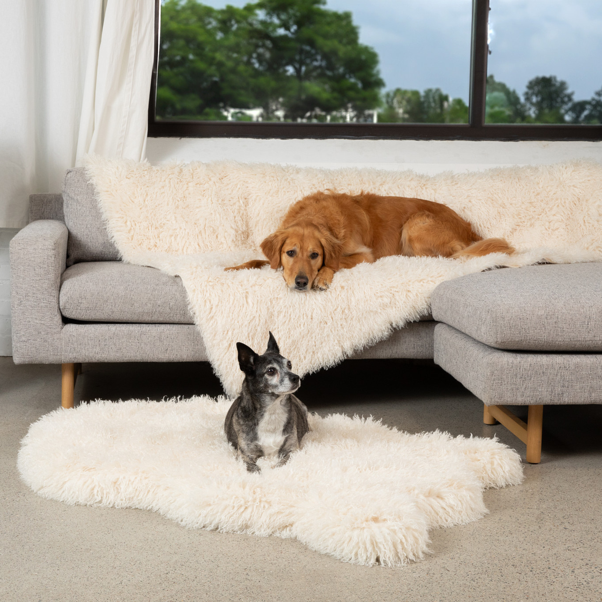 PupRug™ Luxe Faux Fur Orthopedic Dog Bed - Plush Sheep Ivory、mySite、solidvoid