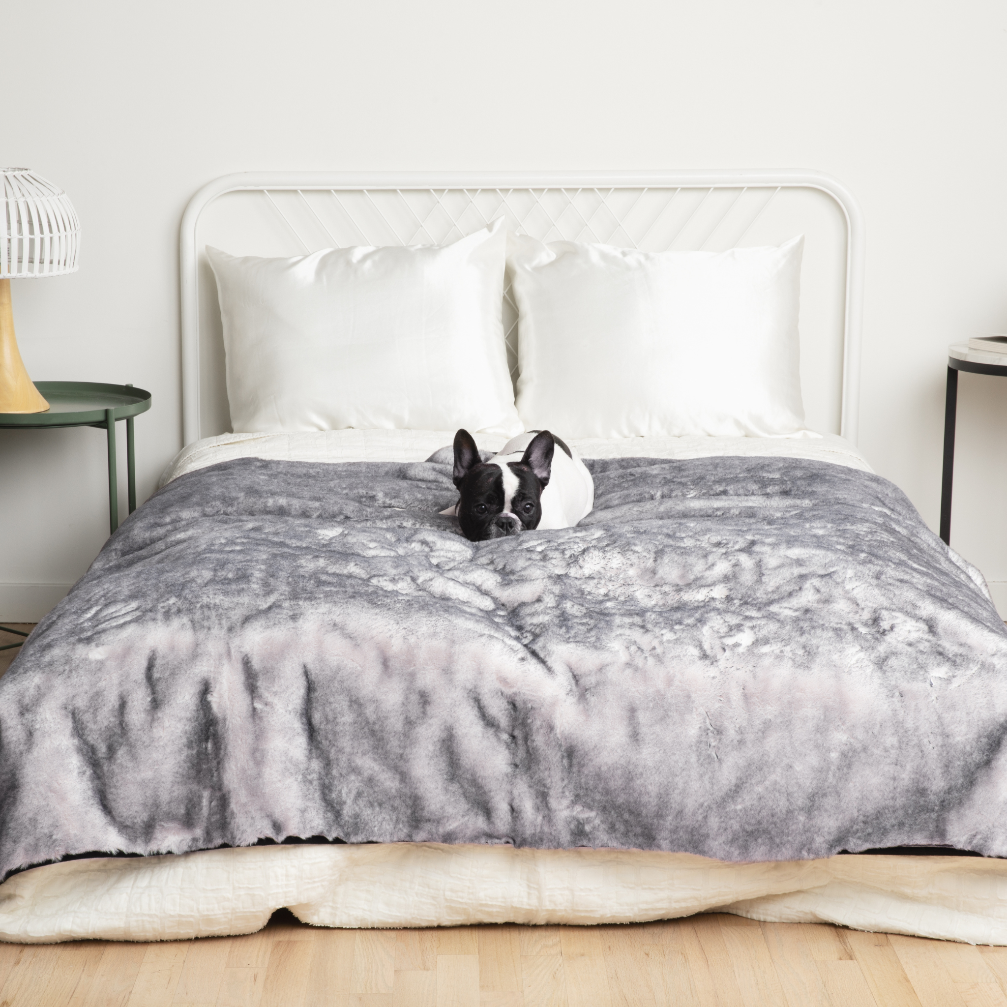 PupRug™ Luxe Orthopedic Runner Bed + Matching Waterproof Blanket Bundle - Ultra Soft Chinchilla、mySite、solidvoid