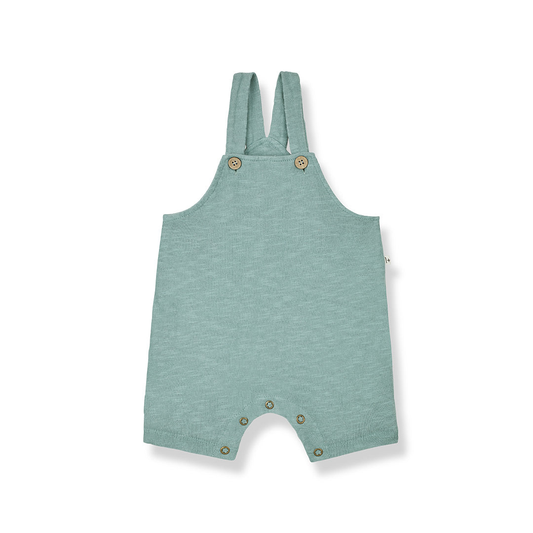  1+ in the family Rocco Overalls - Shark、mySite、merchandisen