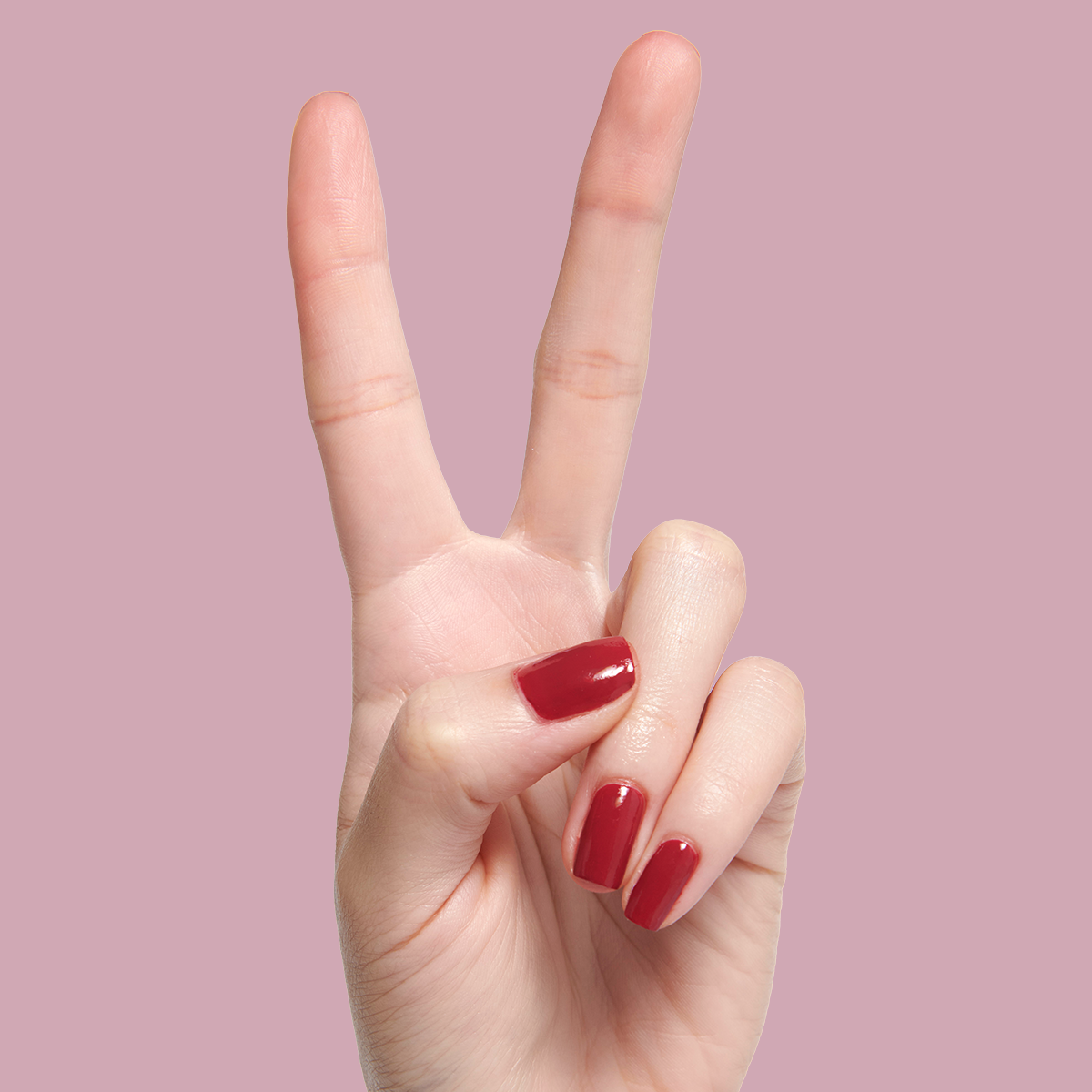 In the Clutch、mySite、solidvoid