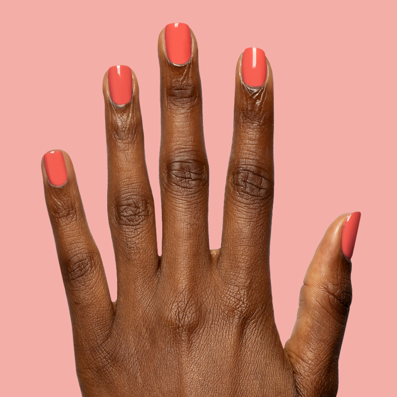 Field Day - Gel、mySite、solidvoid