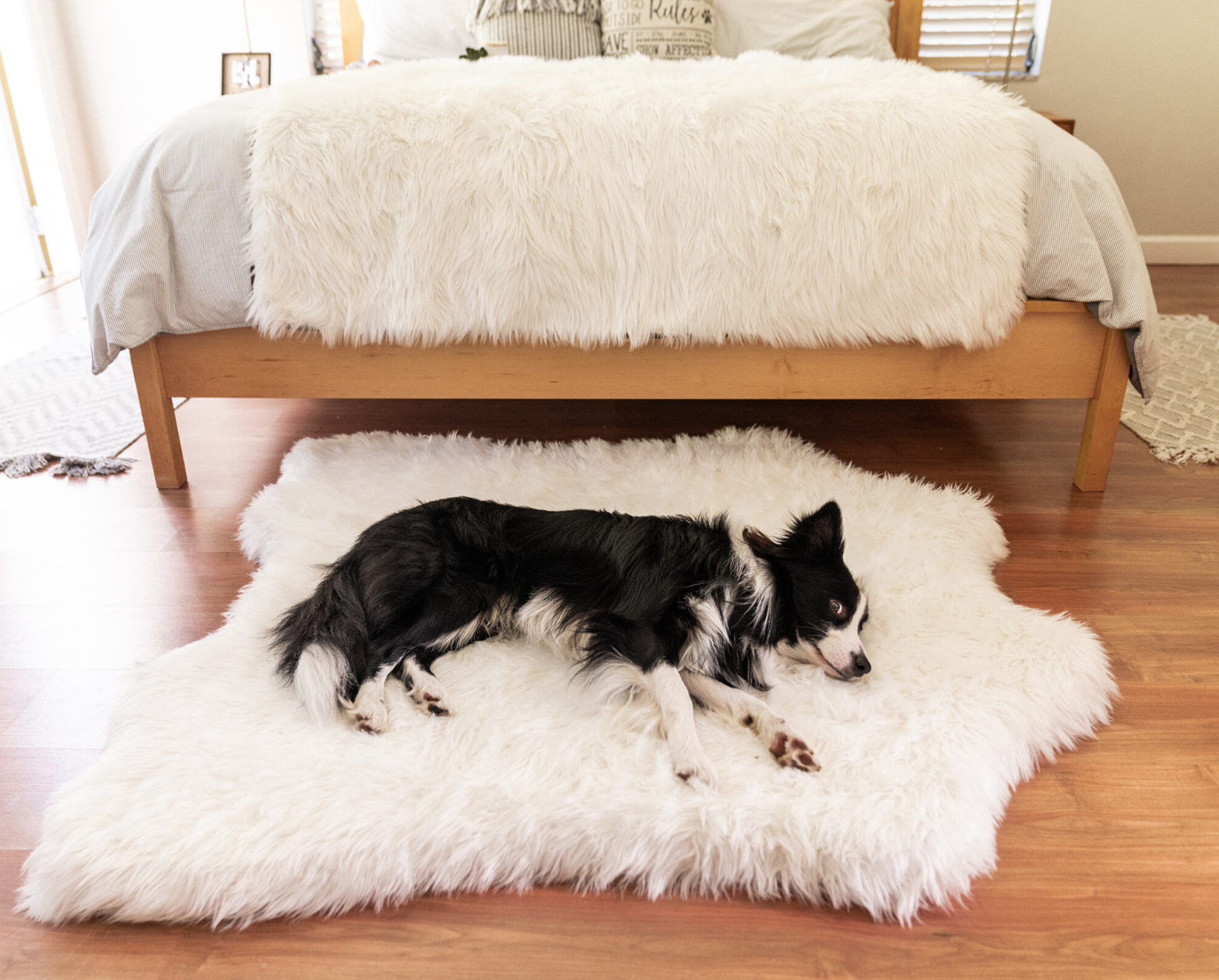 PupRug™ Memory Foam Bed + Matching Waterproof Blanket Bundle - Polar Bear Faux Hide、mySite、solidvoid