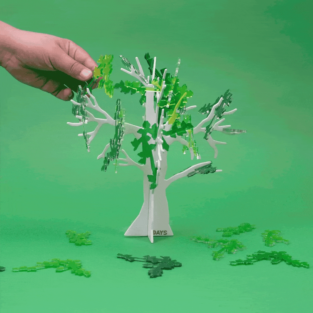 A Year of Jewish Holidays in a Box Kits - 9 Boxes、mySite、topwebapps