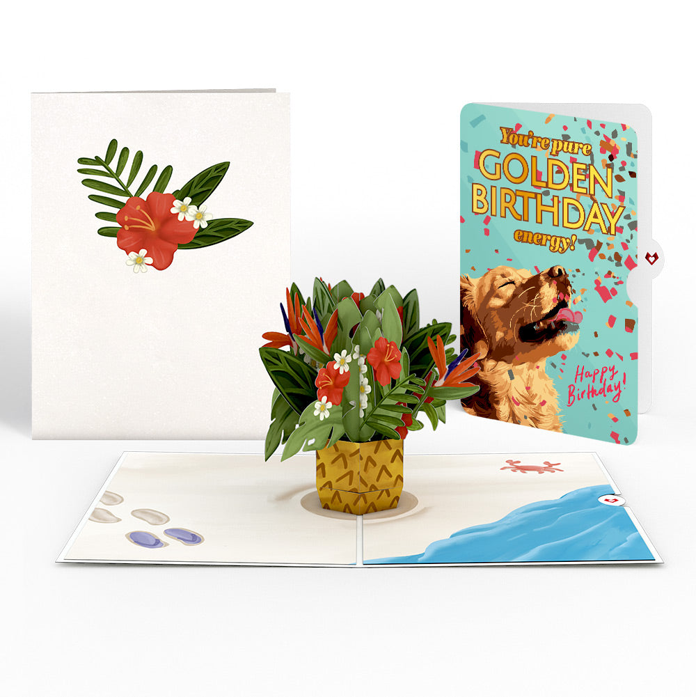 Tropical Flower Basket Birthday Pop-Up Card and Golden Energy Sentiment Set、mySite、solidvoid