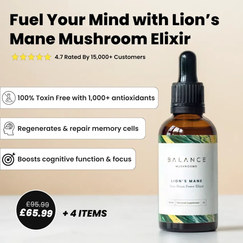 Mushroom Coffee Focus & Energy Bundle、mySite、gigharbornorthrealestate