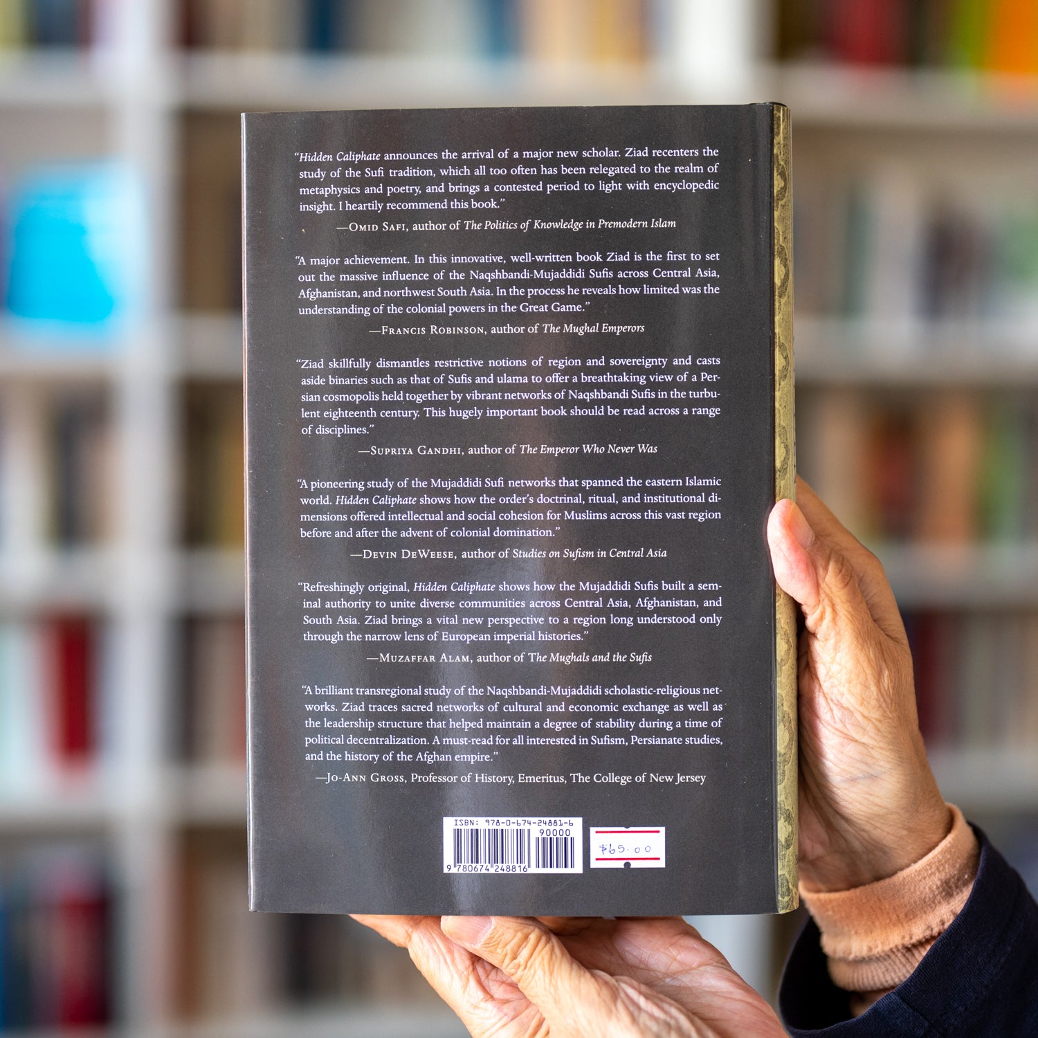 Hidden Caliphate: Sufi Saints Beyond the Oxus and Indus、mySite、topwebapps