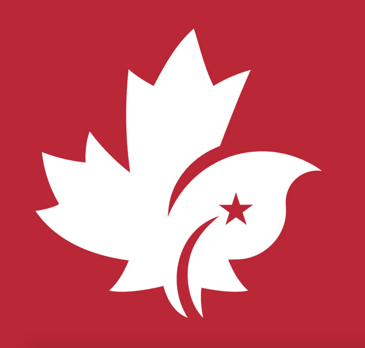 CDNIS Visor Red、mySite、g9winljtr