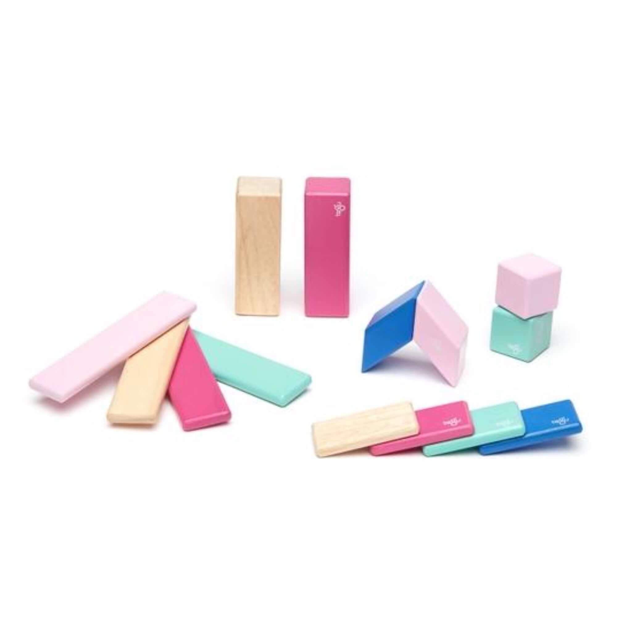 14 Piece Magnetic Wooden Block Set、mySite、g9winljtr