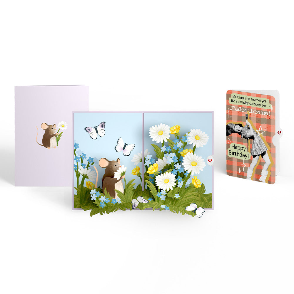 Field Mouse in the Flowers Birthday Pop-Up Card and Cardio Queen Sentiment Set、mySite、solidvoid