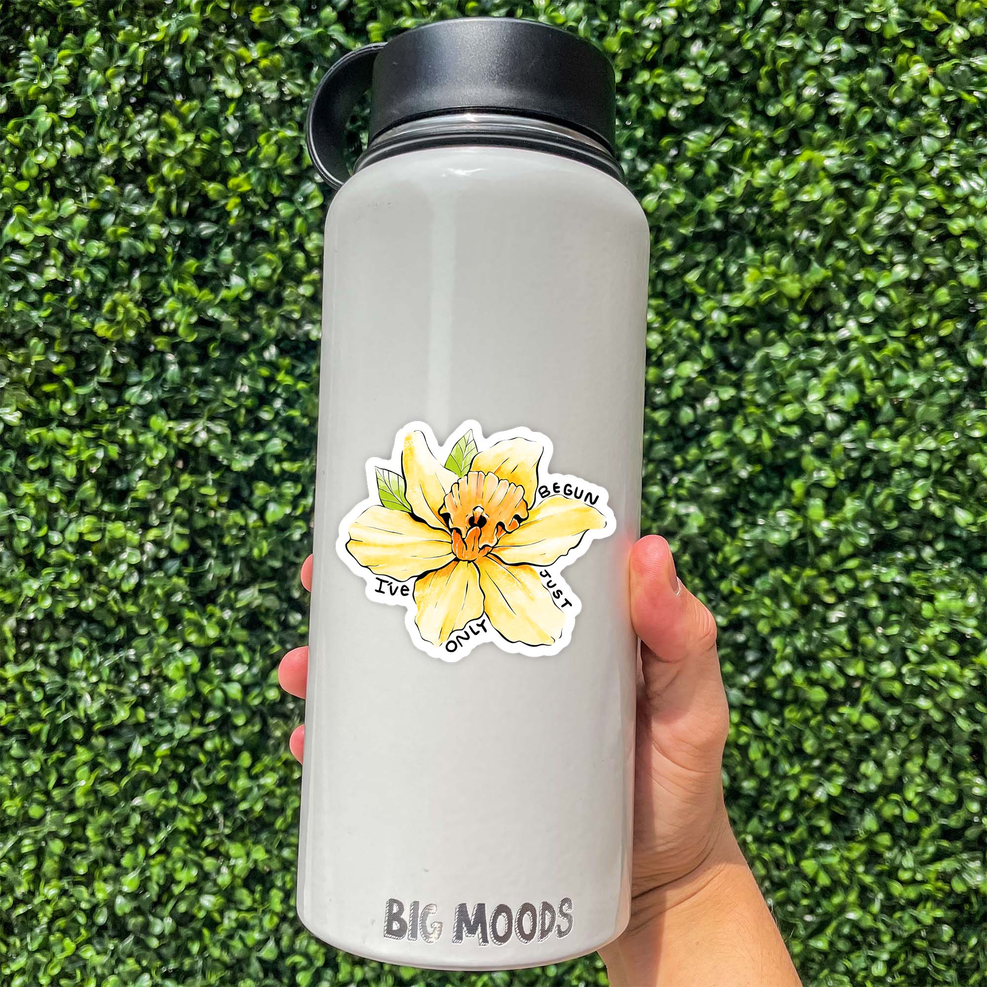  I've Only Just Begun Flower Sticker、mySite、ghnorth