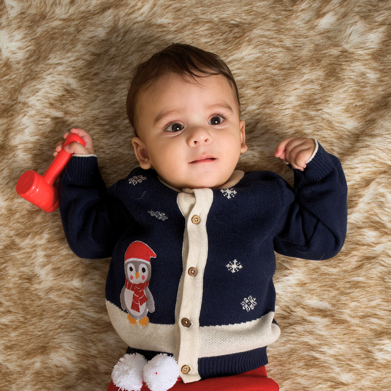 Cotton Jacquard Sweater, Lower & Cap Set | Penguine Printed | Navy Blue & Red | Set of 3、mySite、camillekostekn