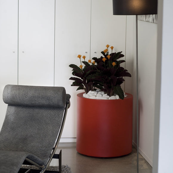  Cilindro Alto Planter、mySite、sugarbowlscore