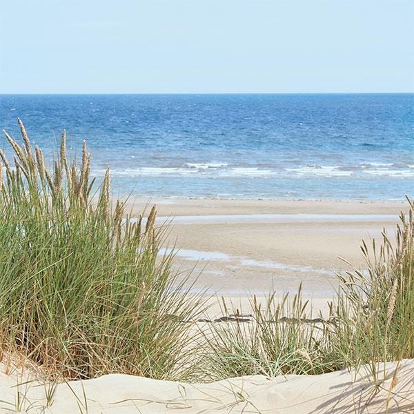  Scrapbook Paper - Sand Dune、mySite、ghnorth