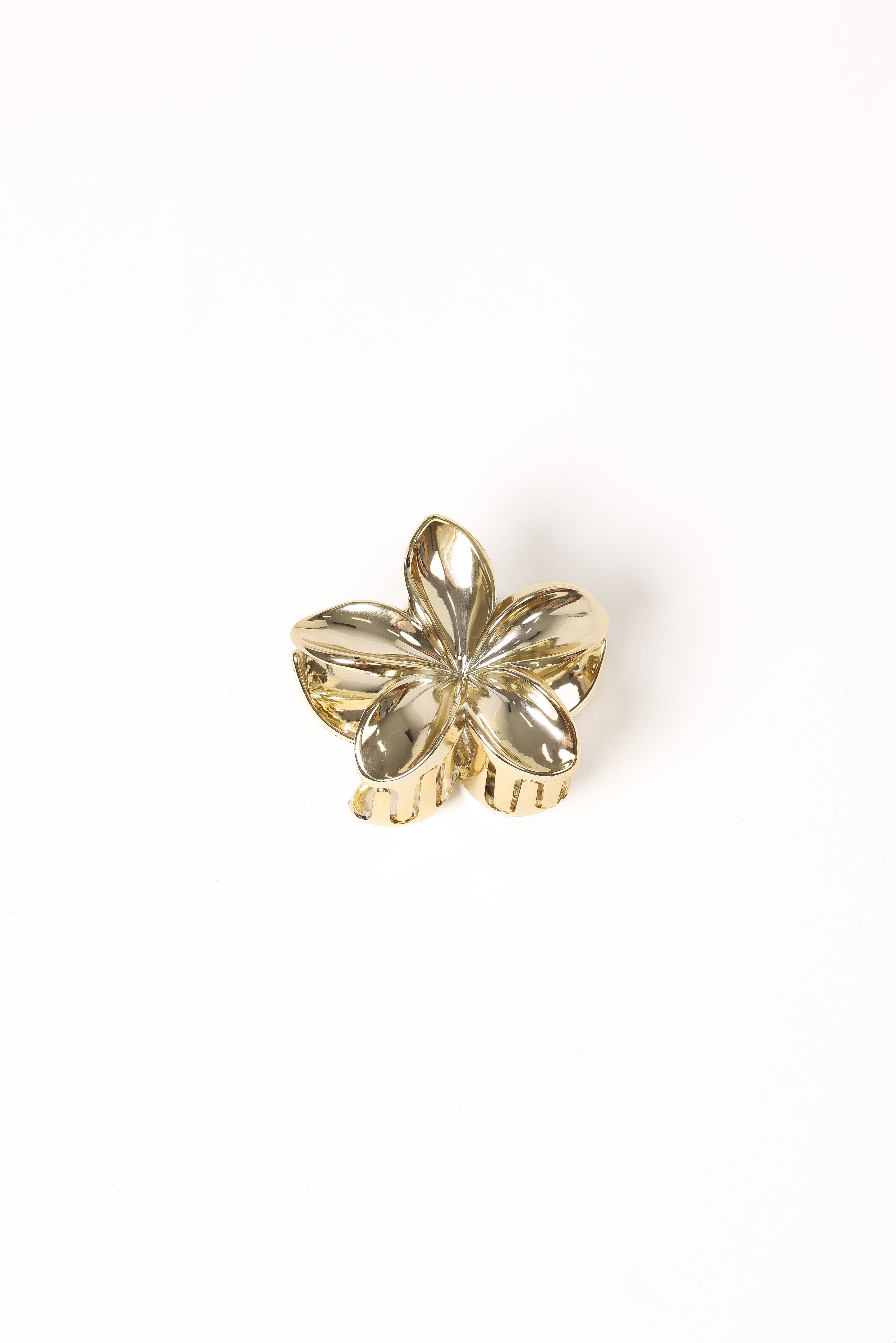  Tiarne Hair Clip - Gold、mySite、sugarbowlscore