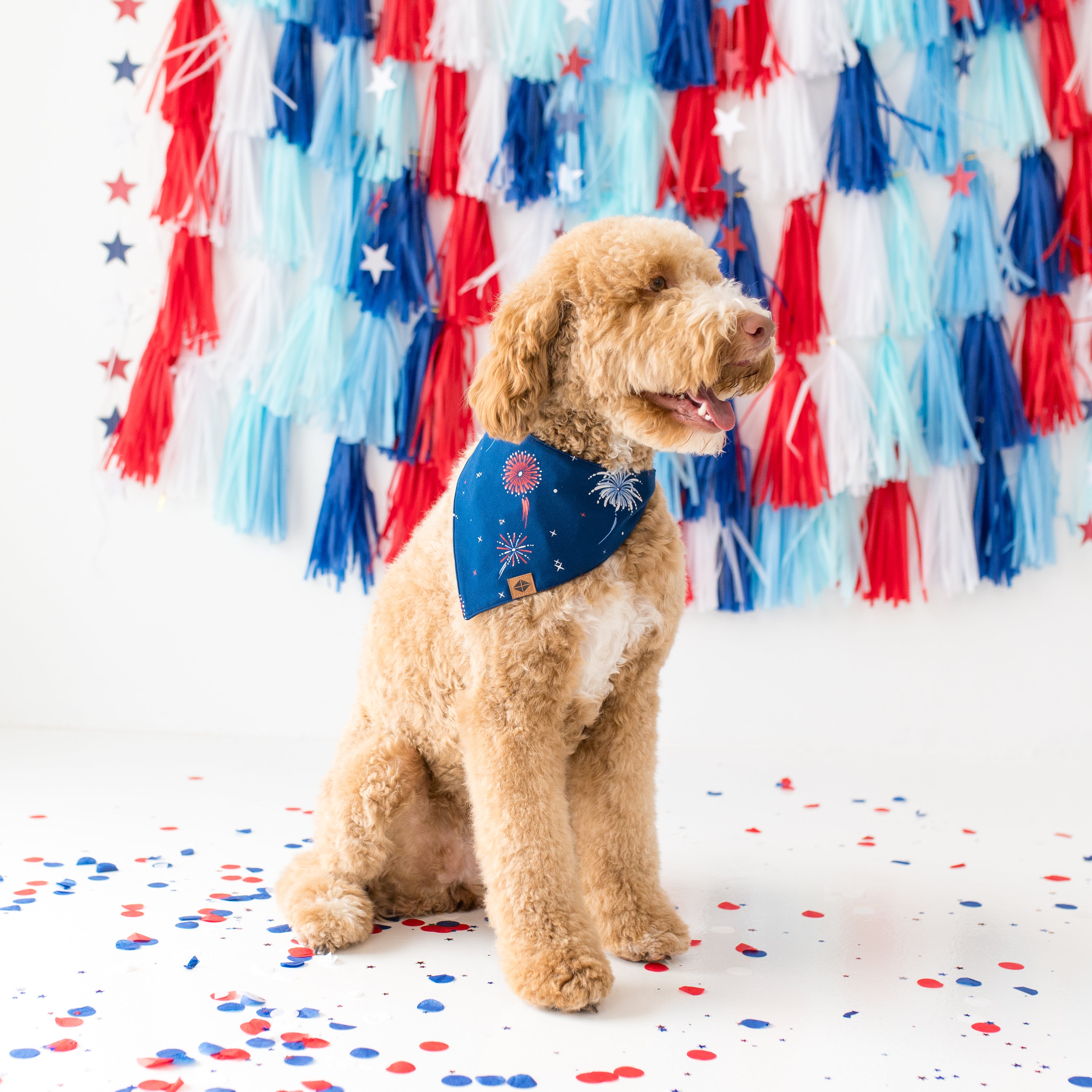  Dog Bandana in Celebration、mySite、layawaytickets