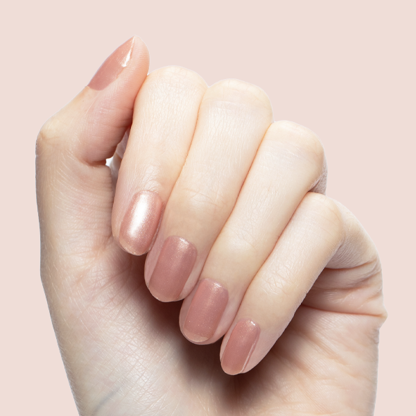 Cookie Swap、mySite、solidvoid